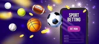 Video slot reels and bonus features on apk 12 platform